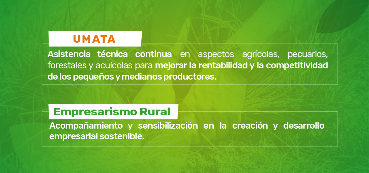 Desarrollo Rural Desarrollo Rural
